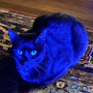 Meet your Posher, Adelaide